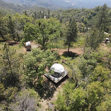 Enchanted Forest Dome ,10-15 Minutes To Kings Canyons-New Pellet Stove For Cozy Warm Nights Dunlap Luaran gambar