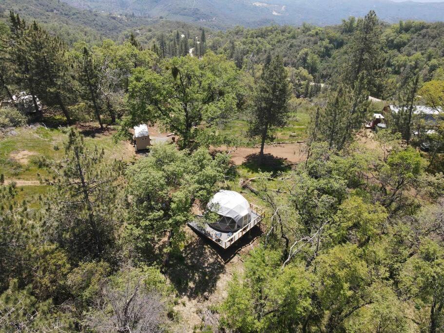 Enchanted Forest Dome ,10-15 Minutes To Kings Canyons-New Pellet Stove For Cozy Warm Nights Dunlap Luaran gambar